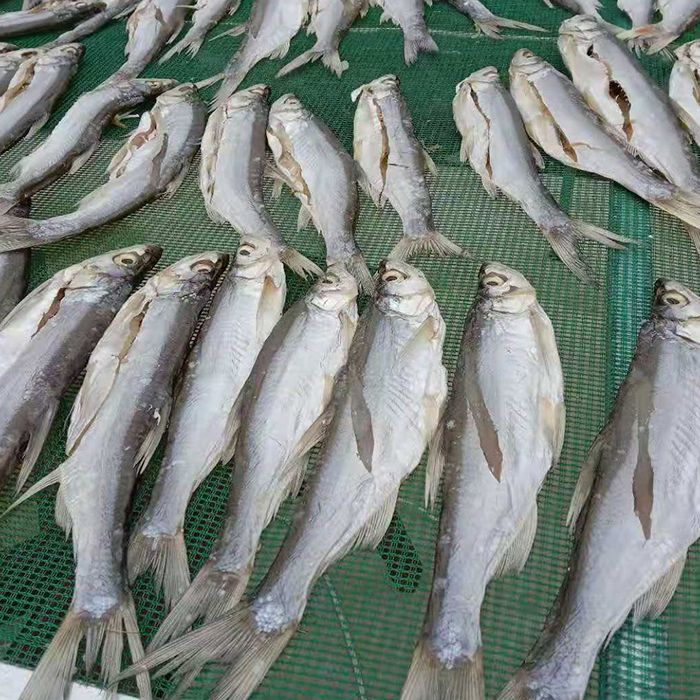 安徽省宣城市南漪湖 阳干开肚参条子（白鱼）500g