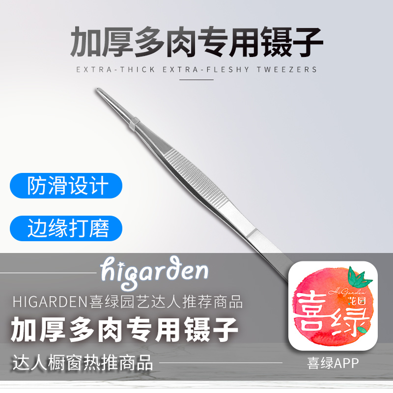 【肉肉小团子】多肉专用工具加厚镊子夹子园艺剪种植夹加厚圆头A