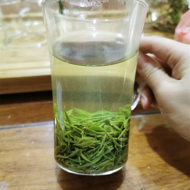 信阳农夫茶园【豹子岭雨前中芽】信阳毛尖100g  