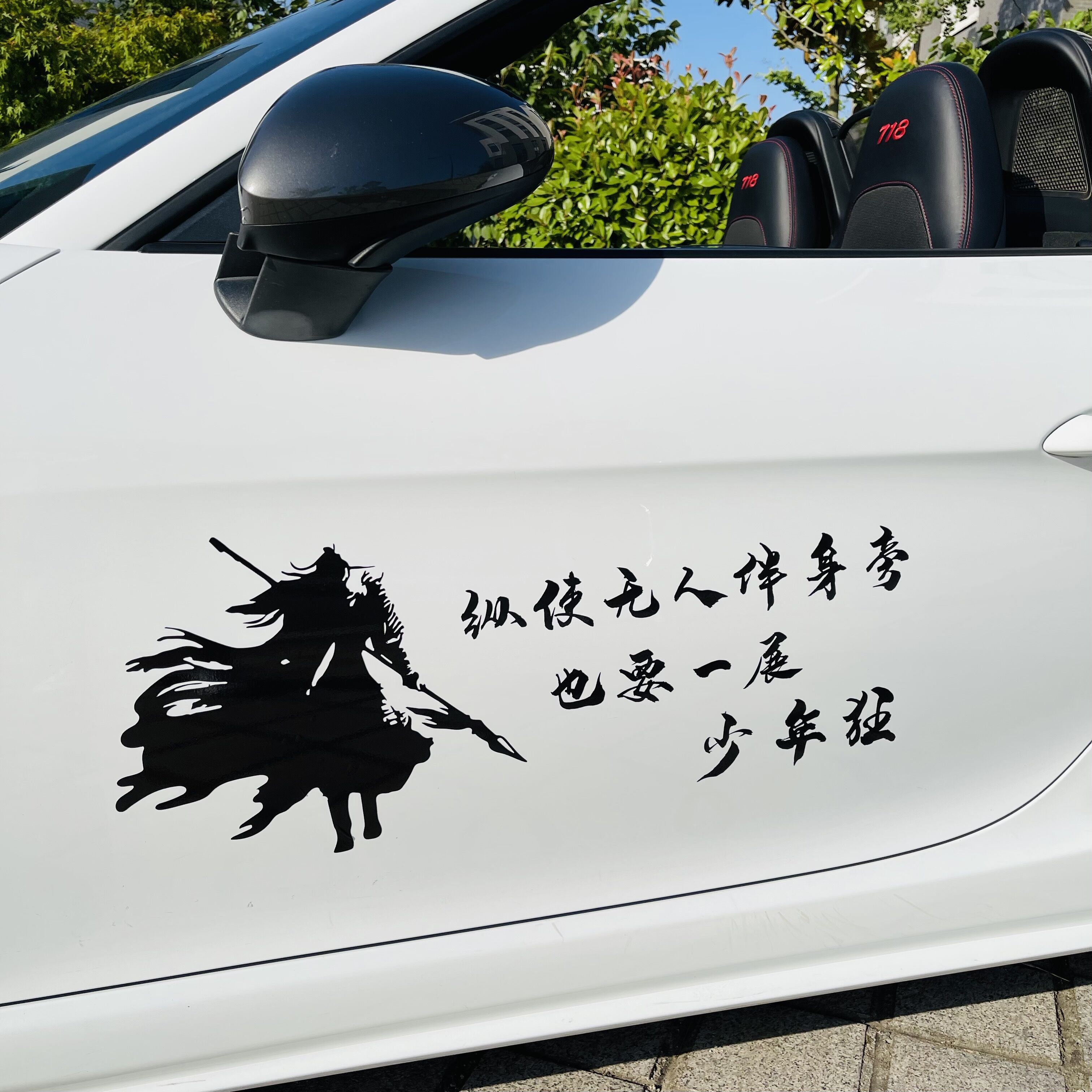 纵使无人伴身旁 也要一展少年狂汽车贴纸车门后窗励志车贴