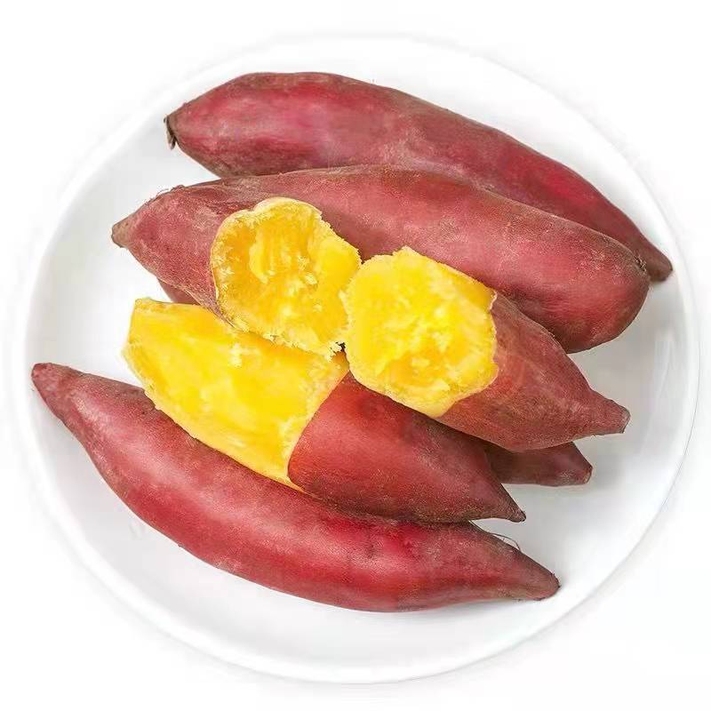 沙地软糯新鲜小香薯 新鲜沙地红薯 现挖地瓜 10粗粮辅食 5斤装  