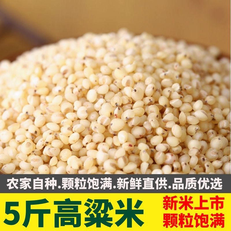 东北农村颗粒优质高粱米饱满五斤顺丰包邮