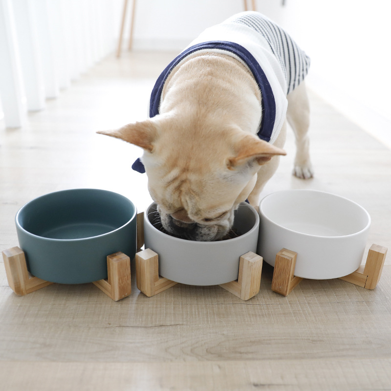 中小型犬宠物狗狗猫咪食盆狗碗法斗巴哥泰迪比熊喝水水碗陶瓷碗具