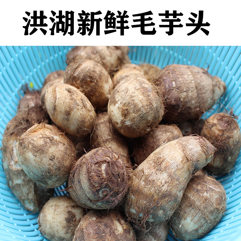 洪湖毛芋头新鲜芋头蒸煮粉糯芋头新鲜蔬菜3斤5斤包邮