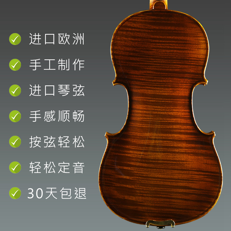 浩成全进口欧料小提琴独奏演奏级专业级考级小提琴纯手工制作乐器