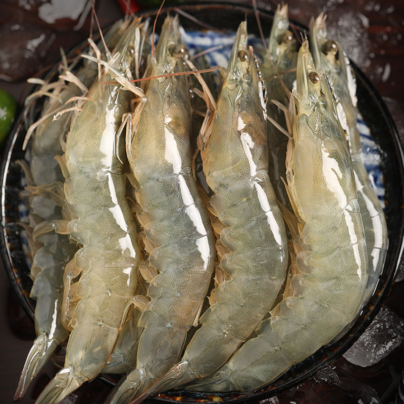 连云港发货 20/30海洋大虾 净重3.3斤活虾速冻锁鲜 桑塔原盒