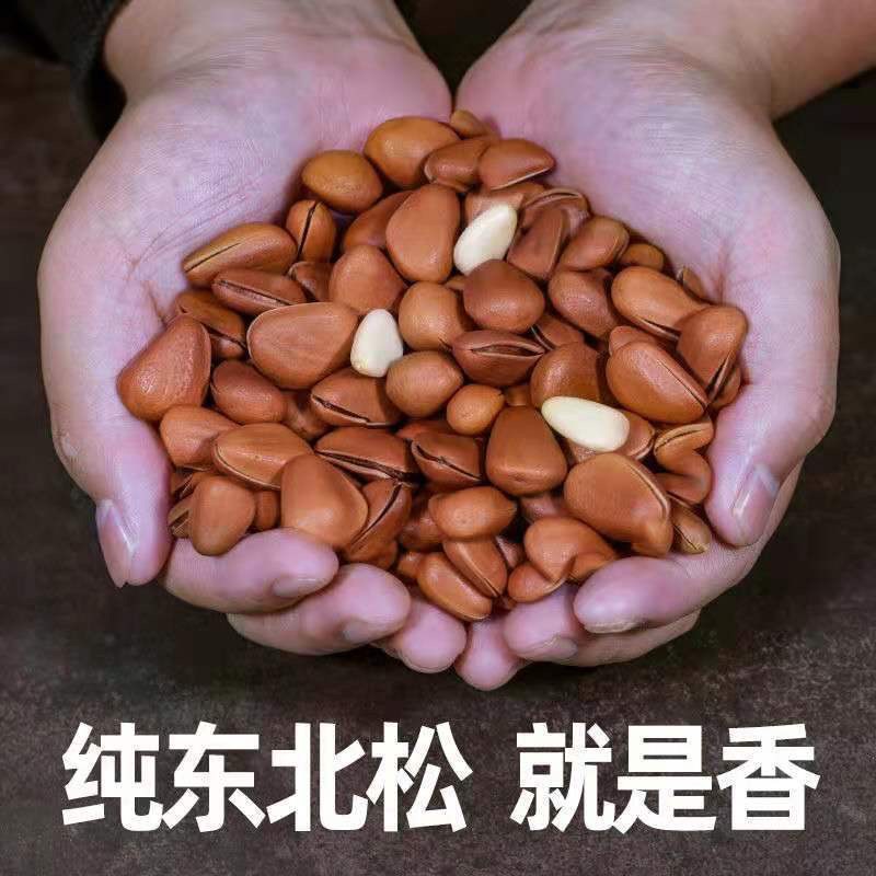 2025新开口松子榛子特大颗粒850