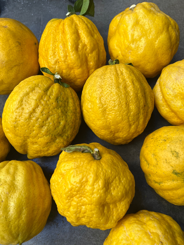 新鲜水果香橼5斤包邮