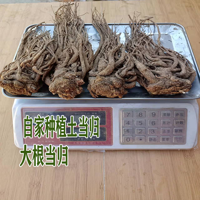 小斌自家种植大根当归土当归500克女性男性老年食用农产品