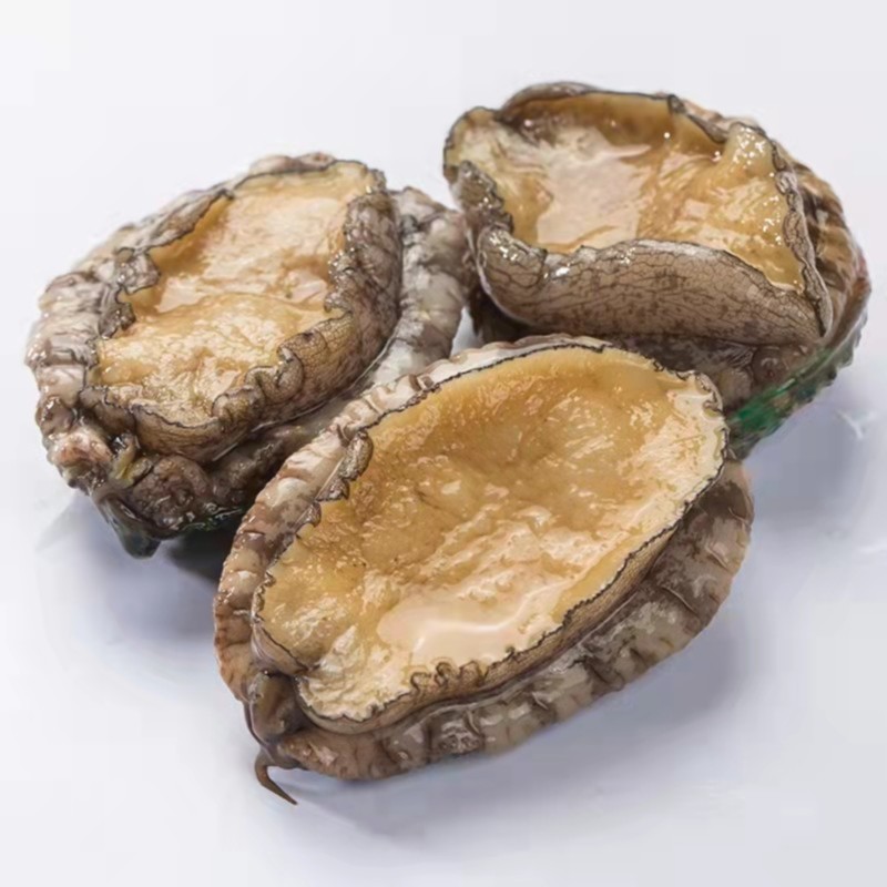 连云港发货鲜活食用鲍鱼12只/30只/50只一斤