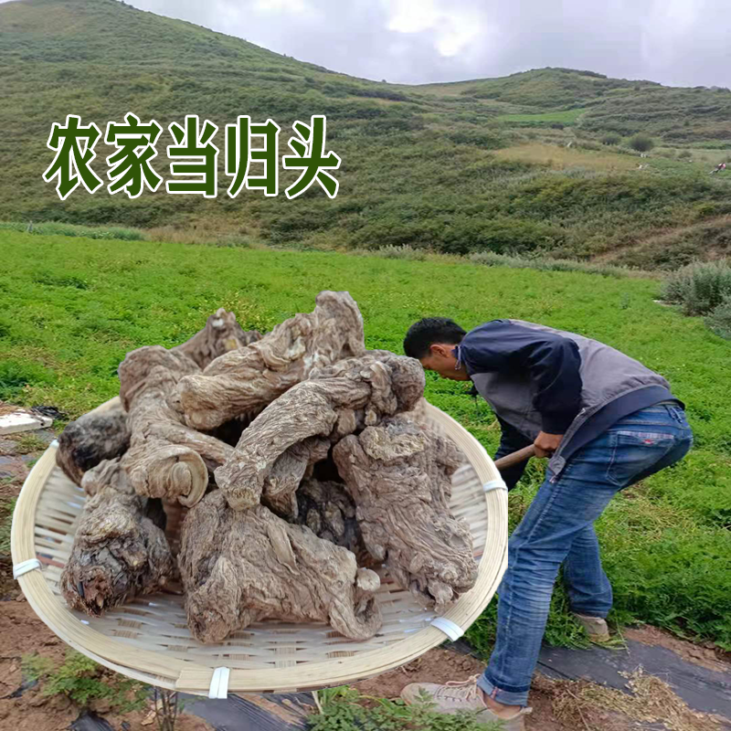 甘肃岷县农家种植当归头250克包邮
