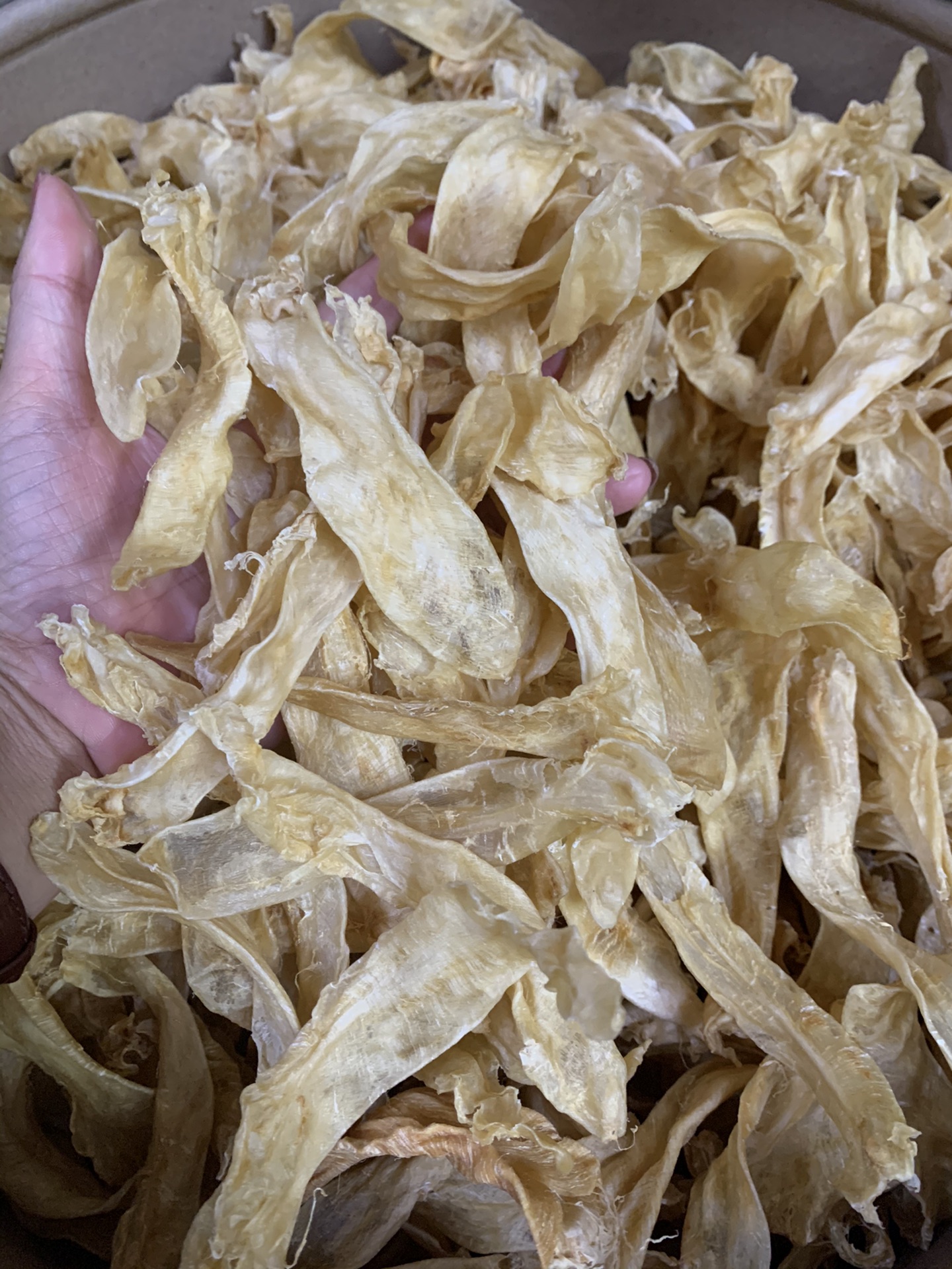 汕头南澳白花胶500克（临时改拍链接）