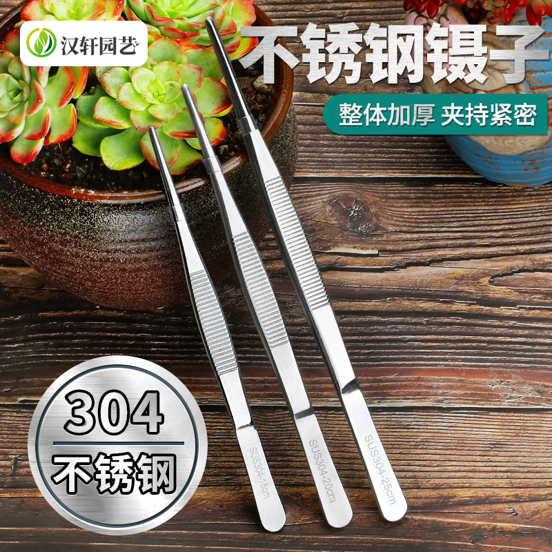 汉轩304不锈钢多肉专用镊子花卉修根盆栽枯叶清洁加长加厚防滑夹