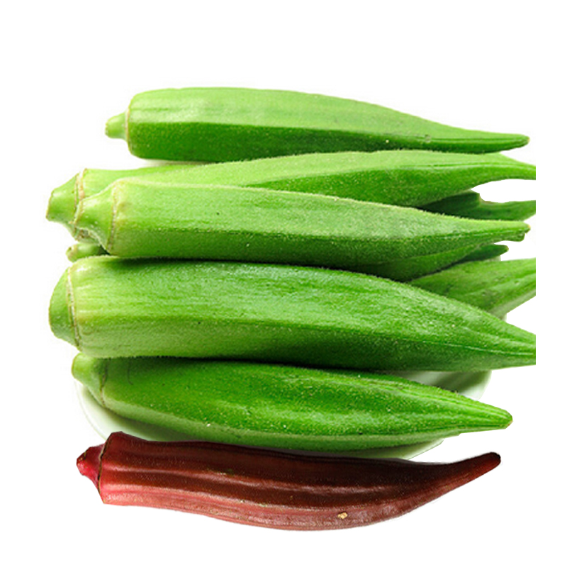 黄秋葵种子红秋葵阳台庭院大田种植山东野菜种植基地