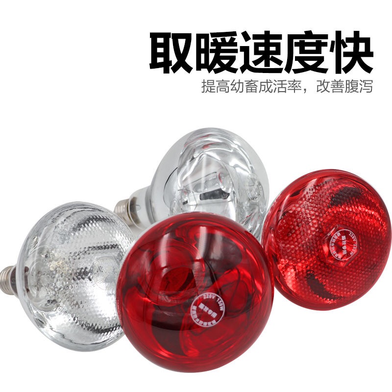 【破损包赔】保温灯防水防爆红外线取暖灯炮猪用保温灯仔猪保暖灯