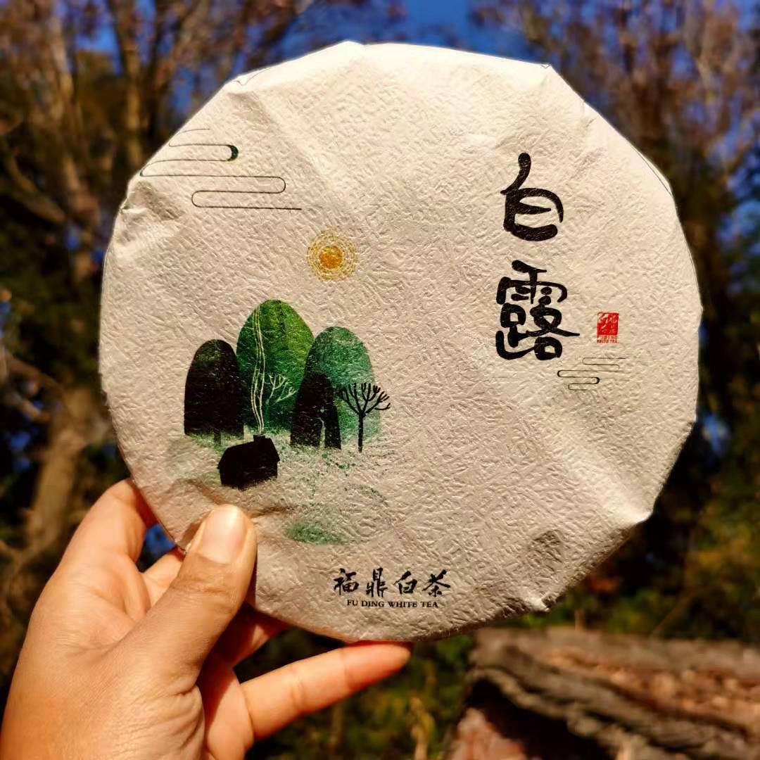 福鼎白茶 2020年 白露寿眉 350克 