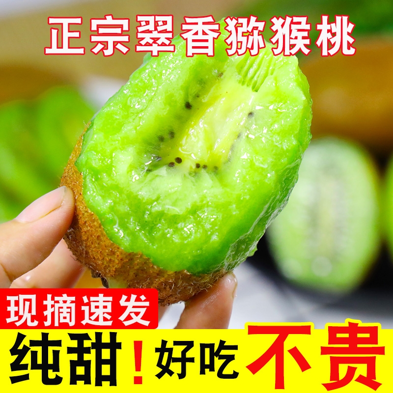陕西周至精品绿心翠香猕猴桃5斤包邮