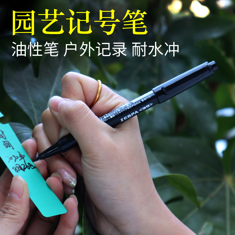 园艺双头记号笔粗细两头黑色擦不掉的记号笔不掉色防水防油不褪色