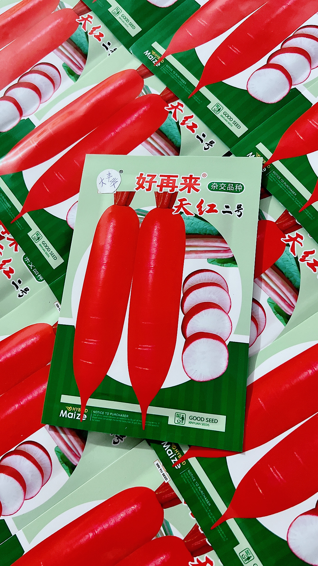 拍一发二 精选杂交天红水萝卜种子