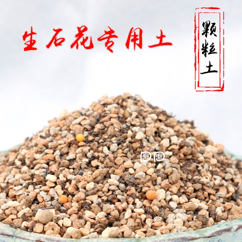 （18包邮）萌肉屋生石花专颗粒土 