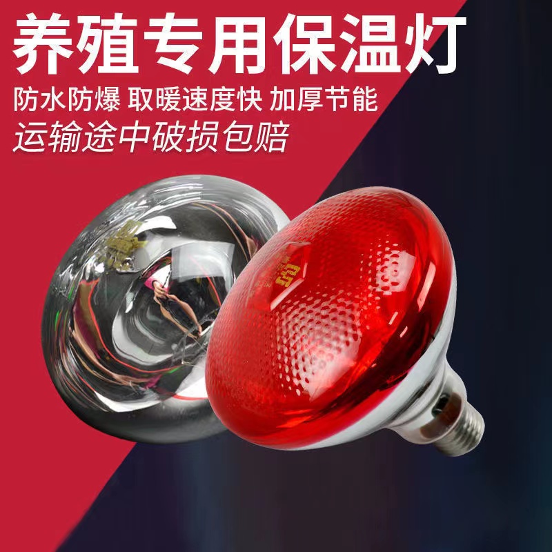 美淇 保温灯泡保温灯泡