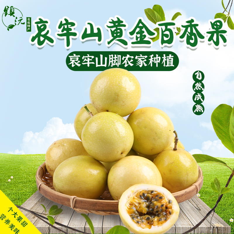 云南新鲜黄金百香果3斤大果甜西番莲鸡蛋果现摘包邮