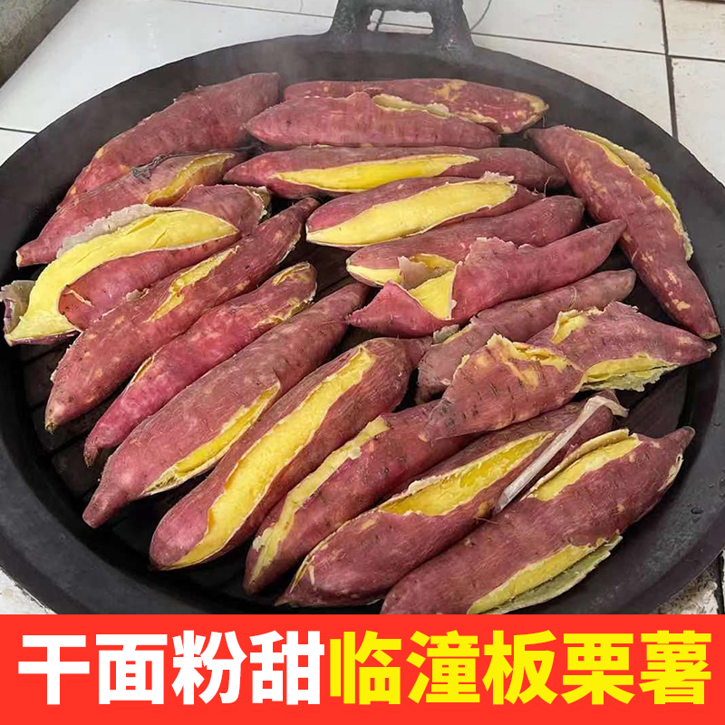 陕西板栗红薯干面粉香甜5斤烤地瓜板栗红薯烟蜜薯粗粮农产品甘甜