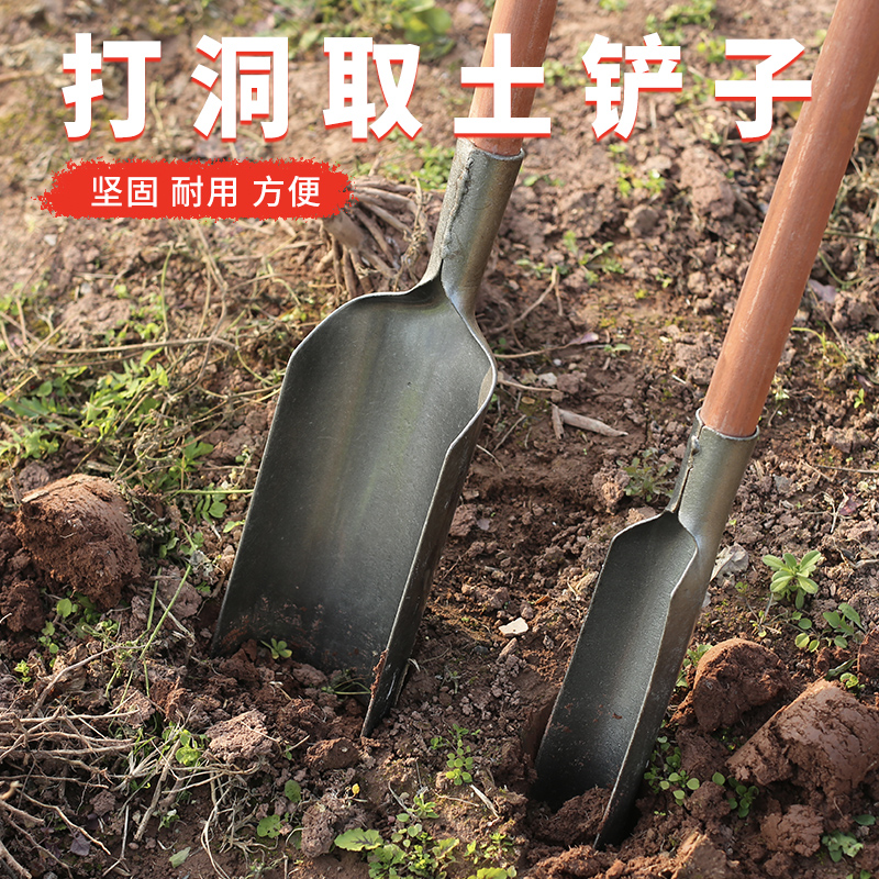 谢杨洋挖土打洞取土种菜开沟种地园林种植坚固加厚施肥钢铲洛阳铲