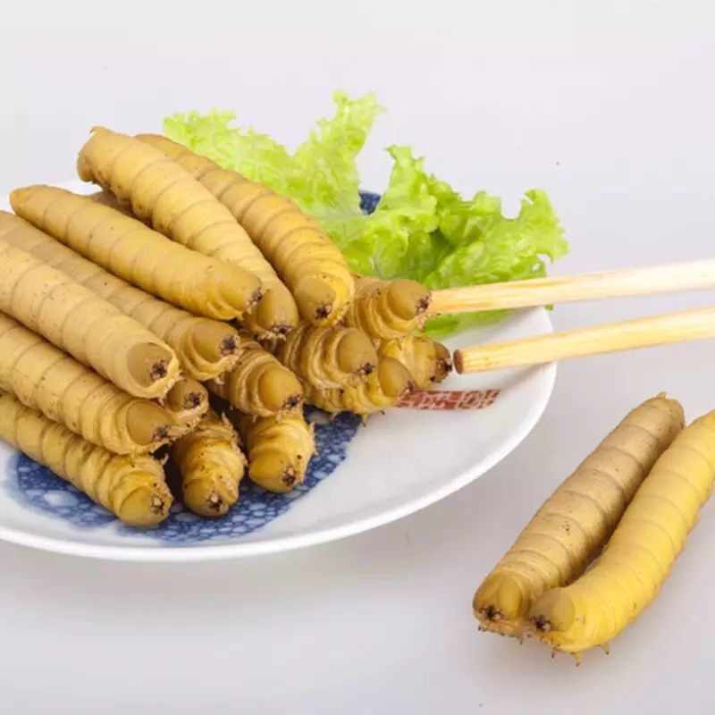 新鲜冷冻田园精品豆虫食用豆青虫豆天蛾山东特产中秋好物味道鲜美