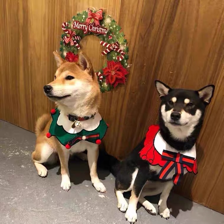 柴犬可爱口水巾狗狗围脖蝴蝶结法斗柯基围嘴围巾宠物领巾猫咪围兜