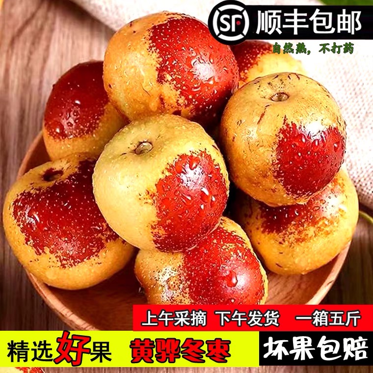 黄骅冬枣带箱5斤特大果顺丰京东包邮精选发货