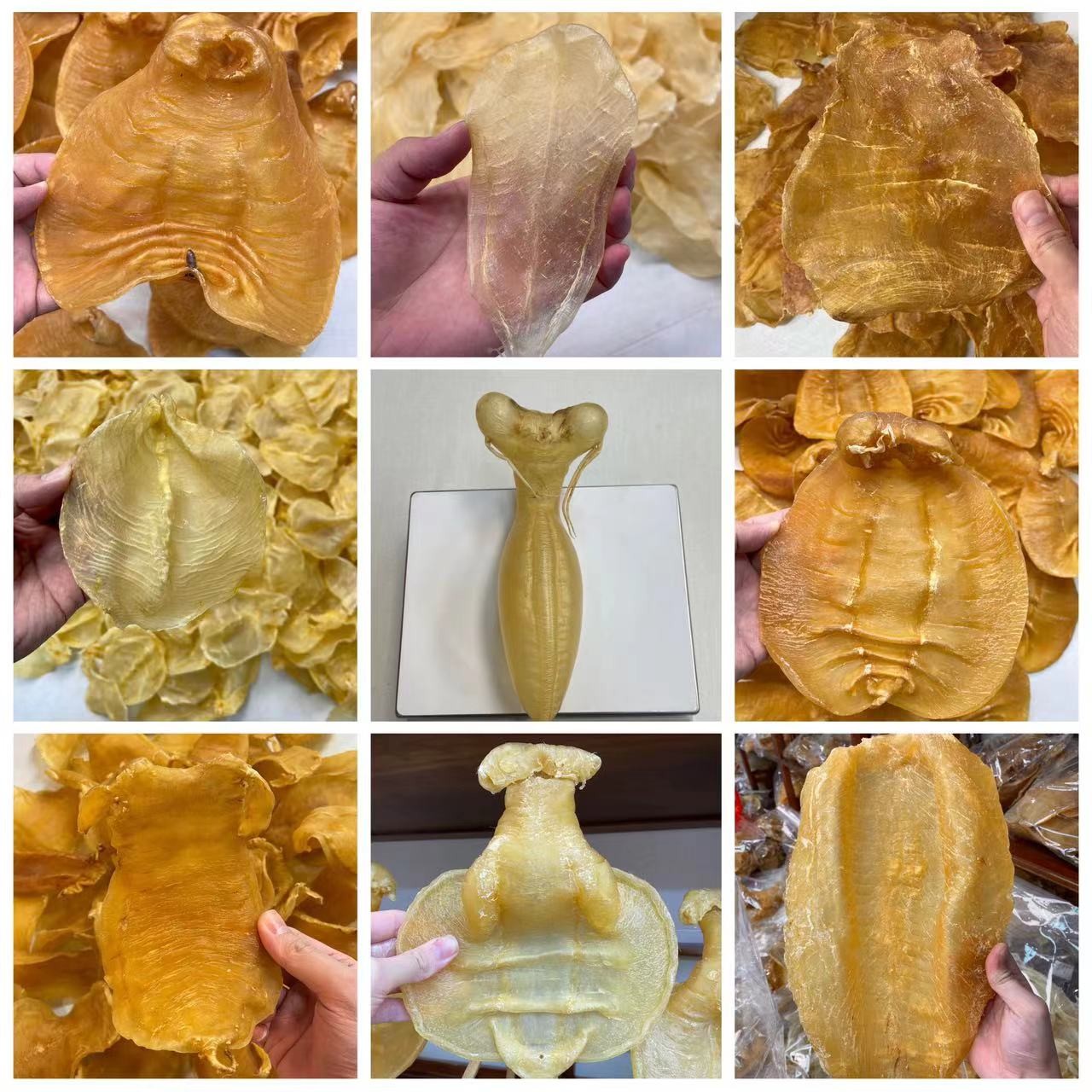 广东花胶1~500克