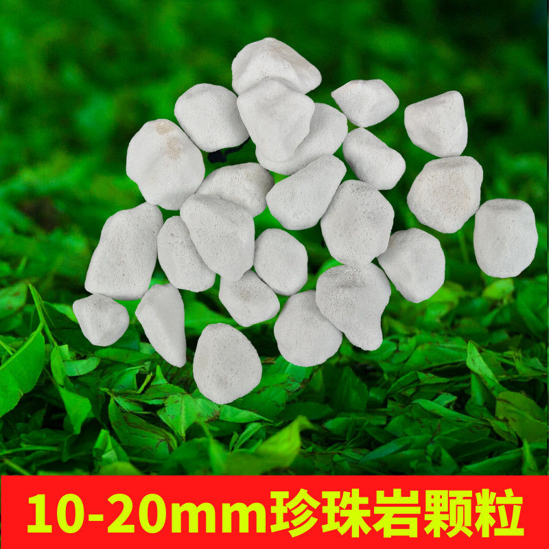 珍珠岩颗粒兰花植料专用硬质大颗粒珍珠岩垫底铺面透气大包珍珠岩