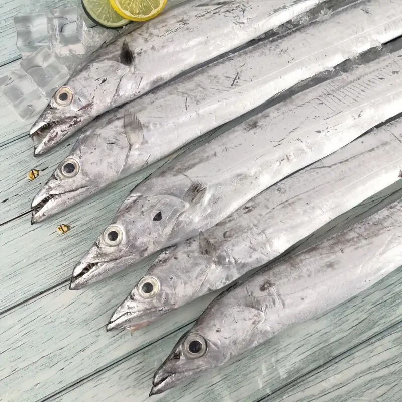 野生带鱼年货带鱼精选肉质鲜美带鱼