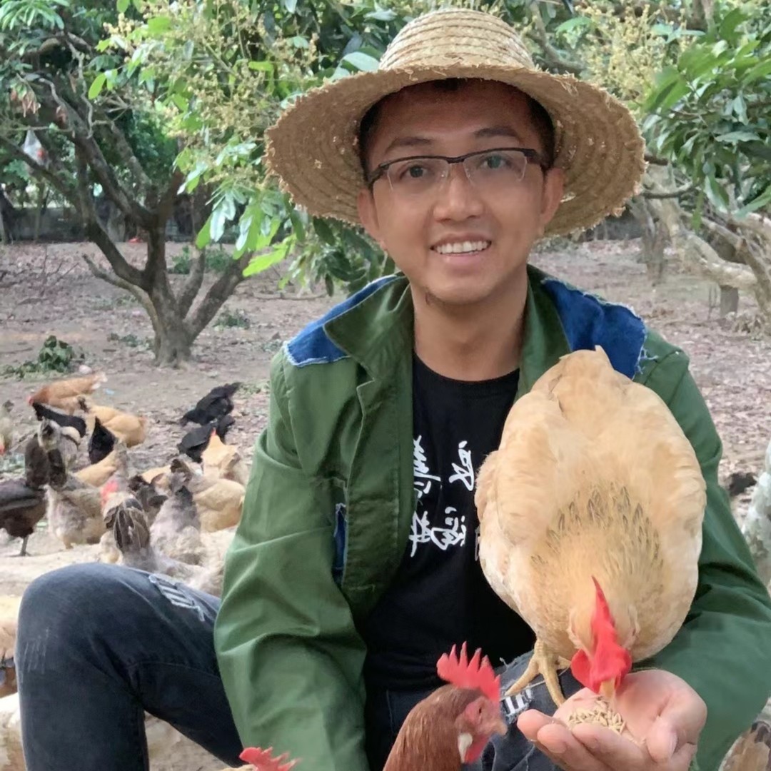 善硬黑凤鸡蛋（不要拒绝签收，破损包赔）