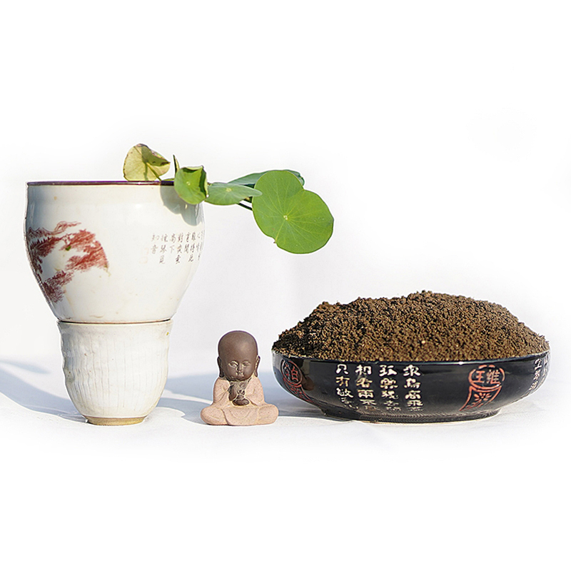 周劲松小微型碗莲荷花生长弱酸性养花栽培用微量元素鱼塘泥营养土