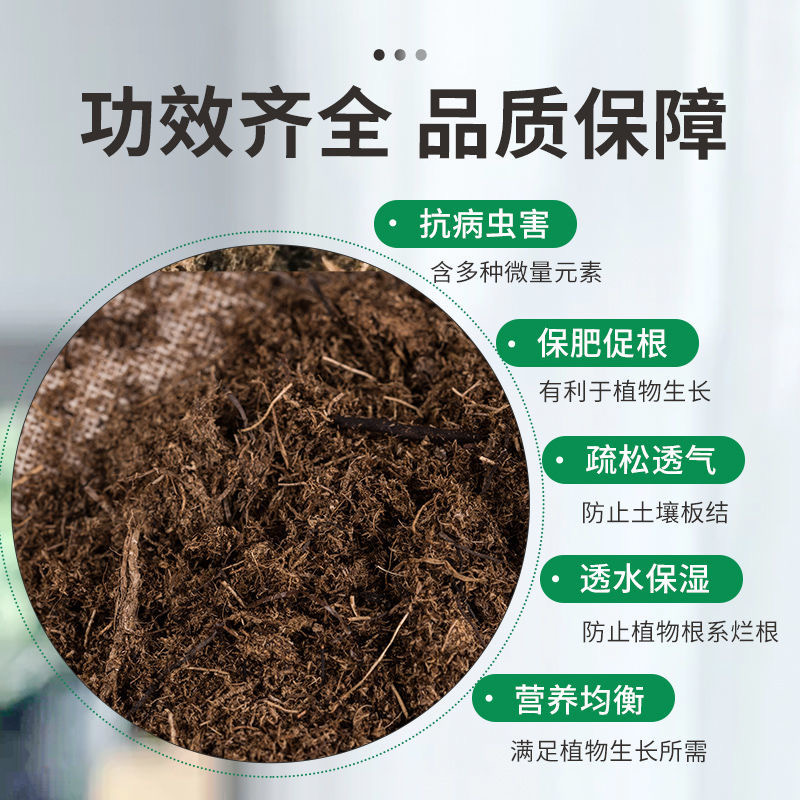 桃蛋姐（多肉南瓜专用极致营养土养花透气性水果嫁接营养土亮果桉）