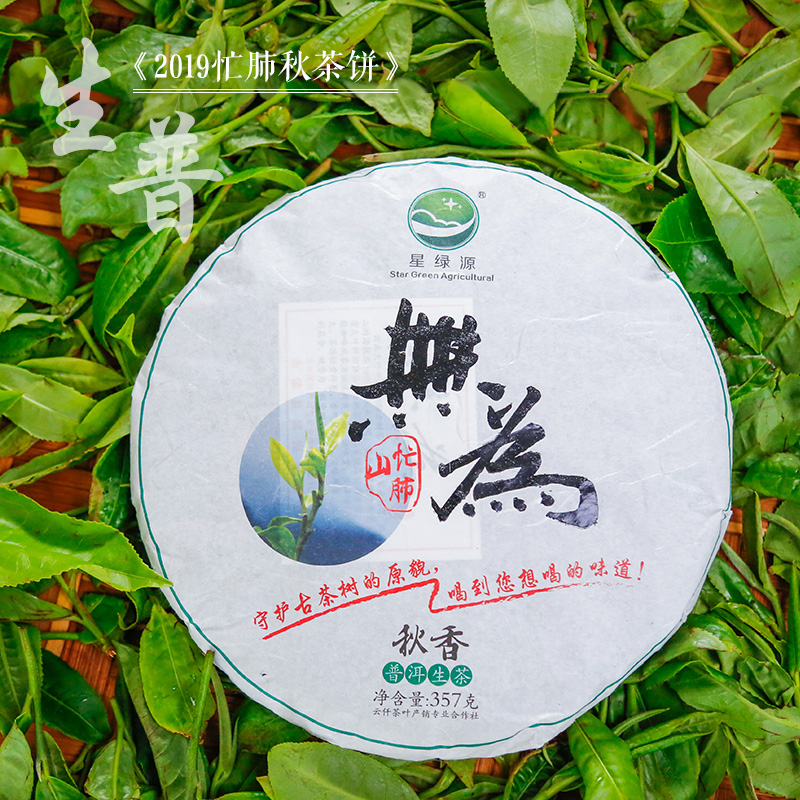 忙肺正山核心区2019年无为秋茶357克饼普洱生茶永德忙肺古树纯料