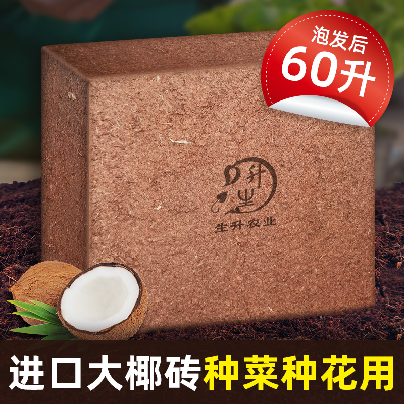大块椰糠砖 营养土 种菜养花养多肉 疏松透气透水植物通用家庭