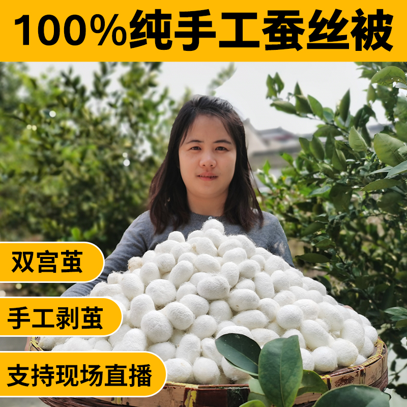 桐乡双宫茧纯手工100%桑蚕丝被子母被手工剥茧儿童春秋夏凉空调被
