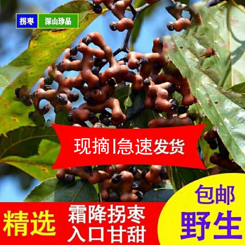 【生吃/泡酒】打霜皱皮鲜拐枣水果生吃泡酒万寿果鸡爪梨金钩梨