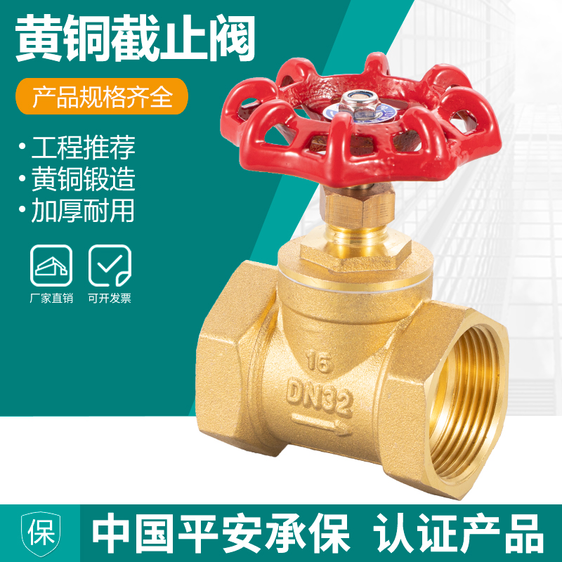 全铜截止阀dn15水管4分6分1寸耐高温20空调25蒸气铜自来水2寸水表
