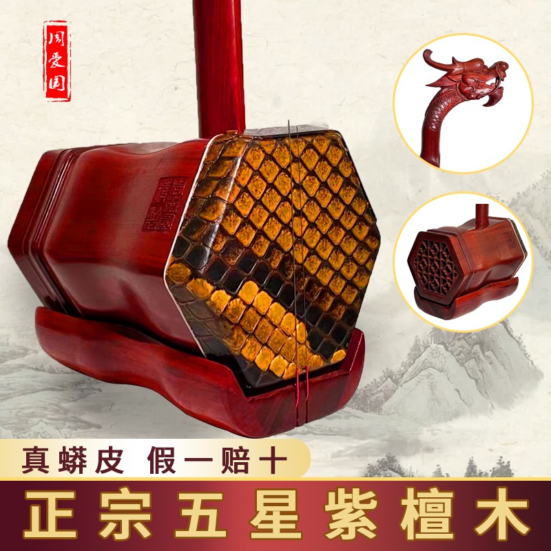 周爱国二胡五星级非洲紫檀飞龙正品手工精品乐器专业演奏考级成人