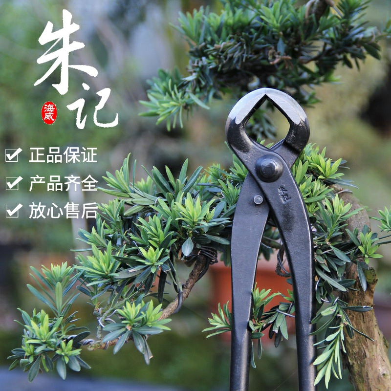 朱记专业盆景工具花艺养护球节剪球形剪树节修枝剪省力树剪老式