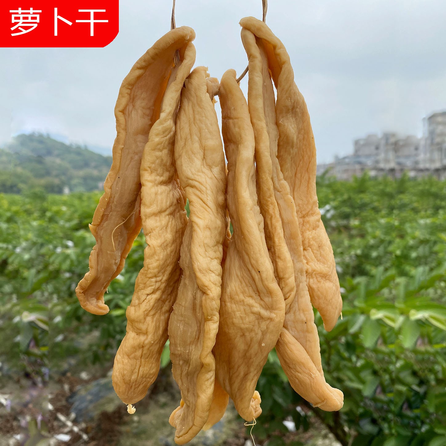 广西农家自晒咸萝卜干500g/袋咸脆爽口手工腌制萝卜条下粥下饭菜