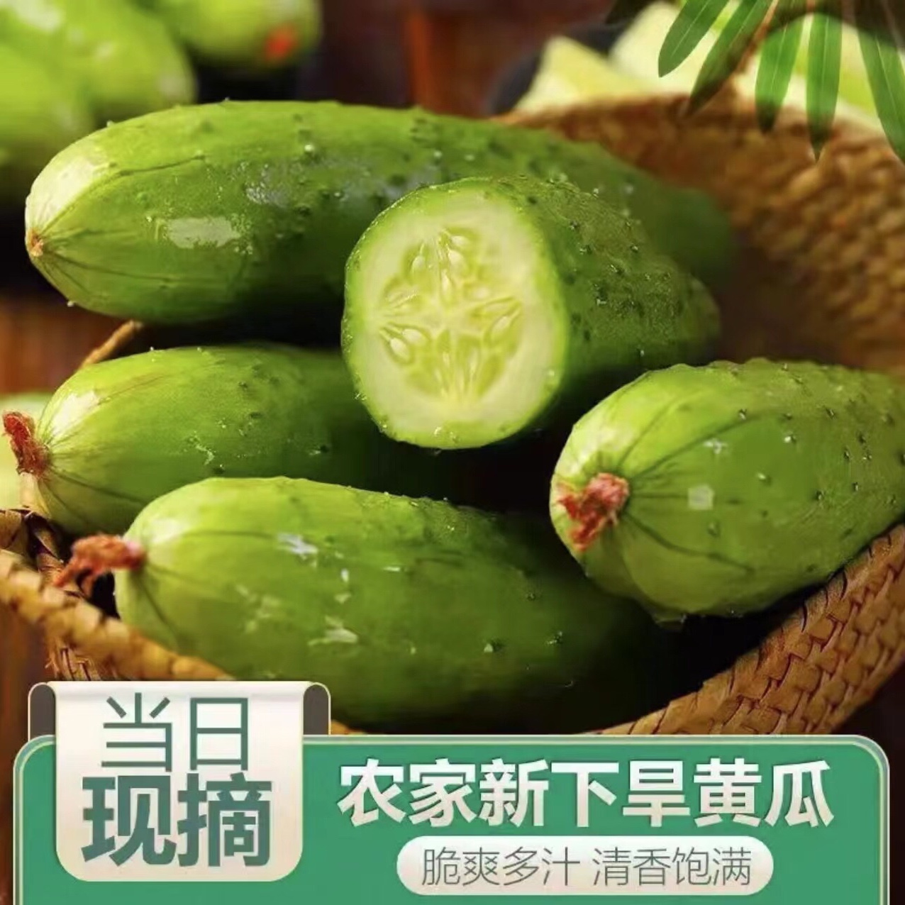 【回头客】大连婷姐好物农家旱黄瓜清香脆爽净重4斤农产品