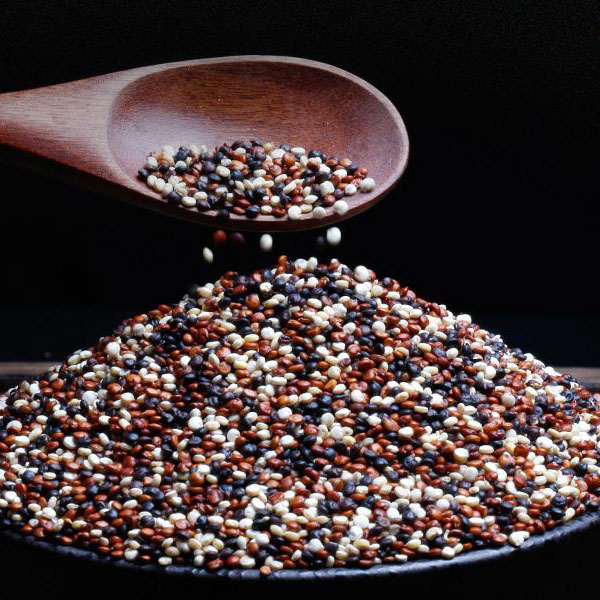 朝阳三色藜麦2斤装