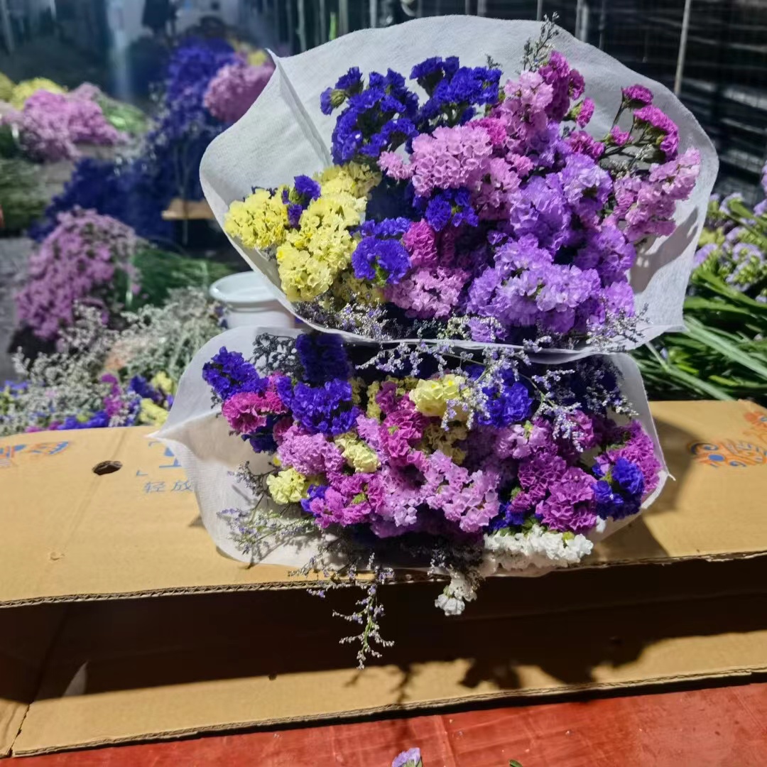 【买一送一】云南勿忘我干花花束真花鲜花永生花满天星家居装饰品