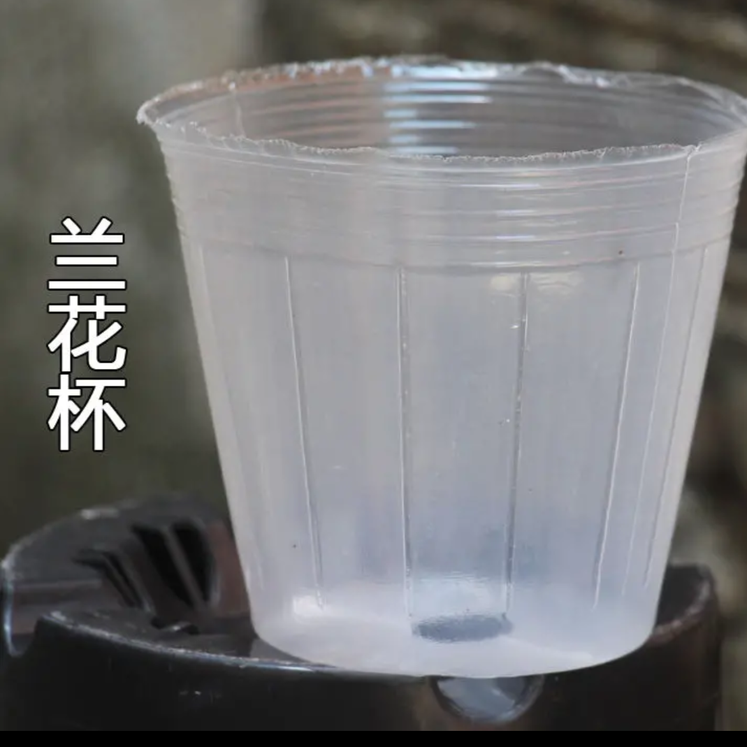 自吸盆托盘透明营养杯育苗杯加仑盆