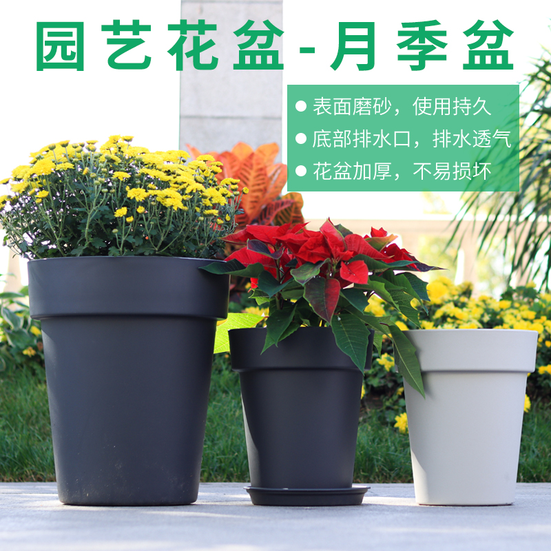 庭院盆栽月季玫瑰蔷薇种花养花多肉植物盆圆形塑料阳台大树脂园艺